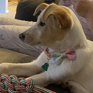 Meet your Posher, Rick